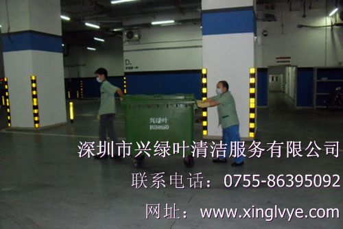 興綠葉